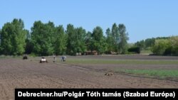 „Nincs büntetés, hanem átcsoportosítások történnek. Ha szedjük fel a terményt, egyértelmű, hogy mindenki oda van irányítva” – mondta a polgármester a közfoglalkoztatottak helyzetéről