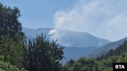 Пожарът в Славянка край границата с Гърция