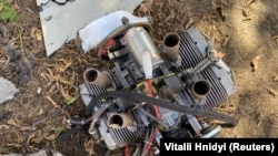 илустрација