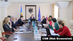 Toți membrii CSM au votat pentru prelungirea mandatelor celor două judecătoare.