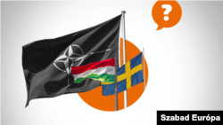 Liderii conservatori ai Ungariei s-au arătat mereu jigniți în ultimii ani de criticile Suediei la adresa erodării democrației în țara central-europeană. 