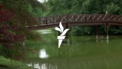 Tetyana, ukrán menekült: „Már tudok magyarul válaszolni”