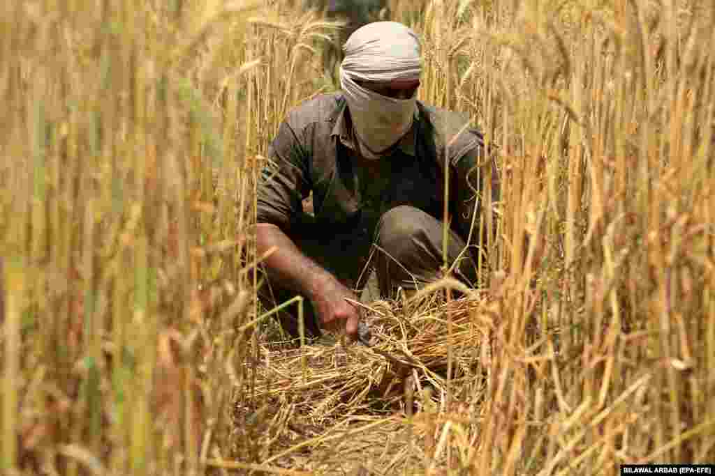 Tregjet ushqimore janë aq të ndërlidhura sa &quot;kudo që jeni, ju e vëreni efektin nëse çmimet globale rriten&quot;, tha Ian Mitchell, një ekonomist dhe drejtor i programit të Evropës në Qendrën për Zhvillimin Global me seli në Londër. &nbsp;