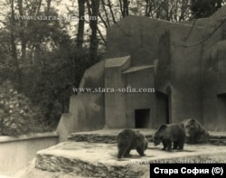 Мечки в стария зоопарк