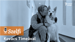 "Engem nem érdekel, ha rámesik a rom, csak őrá ne essen" – Kovács Tímea a Keresőkutyás Szolgálat Alapítvány kurátora