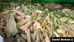 Tocătura de lemne din camionul urmărit de Străjerii Pădurilor