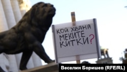 Хомофобски плакат от демонстрацията.