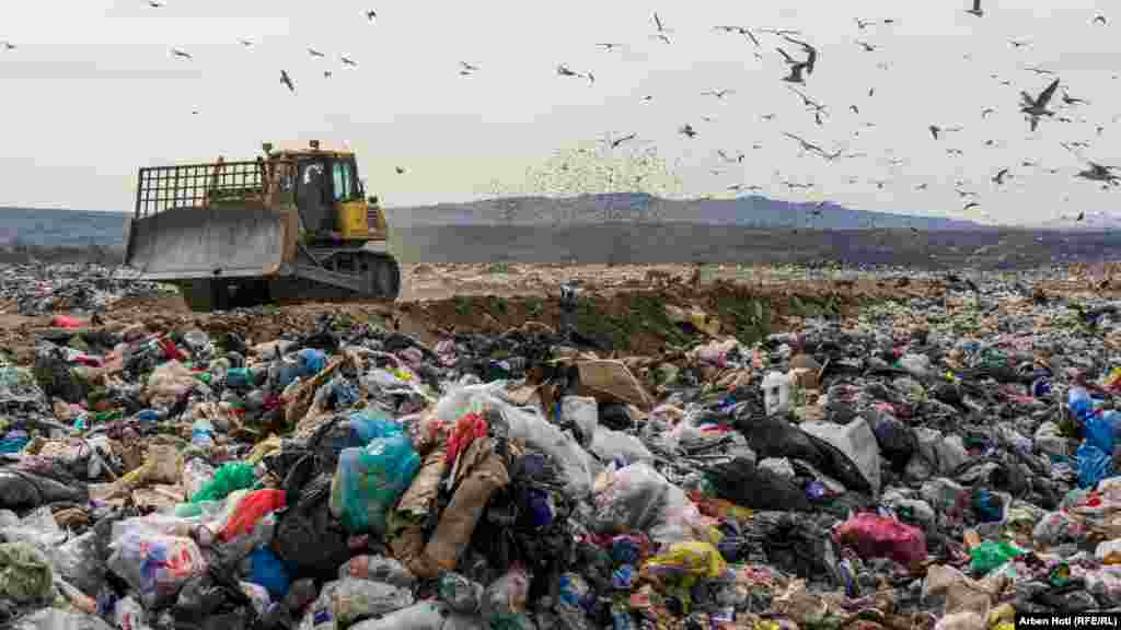 Nga Kompania Rajonale e Mbeturinave &ldquo;Pastrimi&rdquo;, thonë se&nbsp;ka shumë subjekte të paidentifikuara, që mbetjet shtazore i hedhin në kontejnerë&nbsp;&nbsp;të qytetit dhe punëtorët nuk mund t&#39;i dallojnë pasi ato janë kamufluar me qese të shumta.