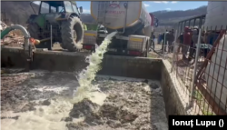 Șapte tone de lapte au aruncat fermierii români într-un protest simbolic din 29 martie.