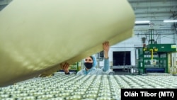 Munka egy debreceni csomagolóüzemben 2020. november 25-én (képünk illusztráció)