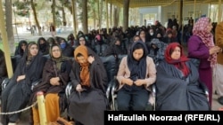 زنان در نظام جمهوریت در ولایات فراه و نیمروز در بخش های مختلف کار میکردنذ که با تسلط طالبان به قدرت، وظایف خود را از دست داده اند