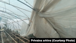 Uništen plastenik posle oluje u Kragujevcu.