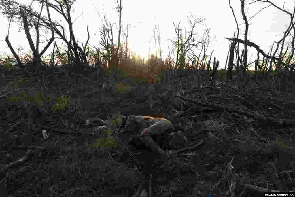 A Ukrainian soldier walks past the lifeless bodies of his comrades.&nbsp; This stretch of dead forest -- a couple dozen trees wide and 2 kilometers long -- toward the equally dead village of Andriyivka is one of countless like it on the road to Russian-controlled Bakhmut. The eastern city, located in the Donetsk region, has taken on huge symbolic significance in the Ukrainian counteroffensive.