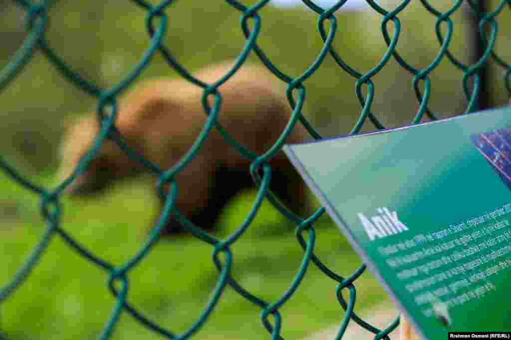 Ky pyll, që gjendet 20 kilometra larg kryeqytetit të Kosovës, Prishtina, është hapur për vizitor në maj të vitit 2013.&nbsp;