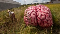  Svjetski je dan mozga