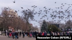 În Regiunea Administrativă Nord vor fi integrate municipiul Bălți și 11 raioane