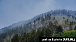 Fotografi ilustruese nga zjarret në Prevallë të Prizrenit, më 13 gusht 2024.