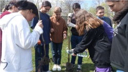 Adunând două tone de maculatură, au salvat 46 de copaci