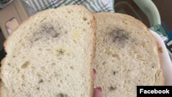 Penészes kenyér a János kórházban