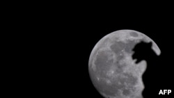 Луната на фона на един от силуетите на гаргойли по фасадата на катедралата