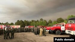 Пожарные на фоне горящего леса в Абайской области