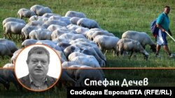 Колаж със снимка на автора Стефан Дечев