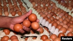 2023 წლის პირველ კვარტალში, წინა წლის შესაბამის პერიოდთან შედარებით, თურქეთის კვერცხის იმპორტი $12 000-დან $684 260-მდე გაიზარდა