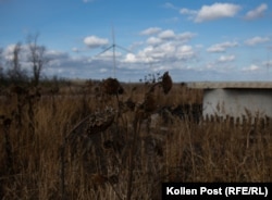 Suncokreti nakon žetve u polju oko vjetroturbine.