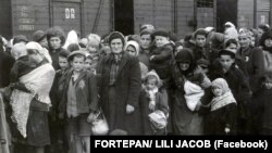 „Apus meglátta a hatalmas füstöt, az állomás feliratát: Auschwitz, és csak ennyit mondott: El vagyunk veszve”