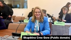 Kryesuesja e delegacionit të Malit të Zi në Asamblenë Parlamentare të Këshillit të Evropës, më 28 mars 2024.