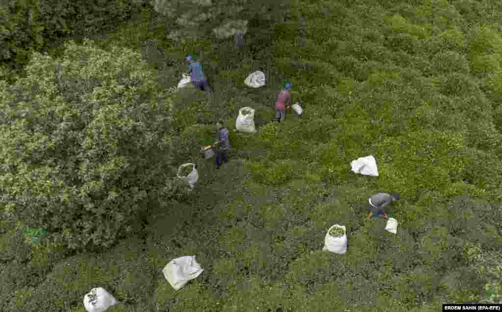 Зголемувањето на депортации веројатно се должи, барем делумно, на турското јавно мислење кое се бори против бегалците и имигрантите. Во истражувањето во 2021 година, спроведено од Avrasya Research Company за да се процени турското јавно мислење за Авганистанците, Сиријците, Ирачаните и барателите на азил, 76 отсто од испитаниците се согласија со изјавата дека &bdquo;влезот на овие луѓе во Турција мора да се спречи и тие мора да бидат итно депортиран&ldquo;. &nbsp;