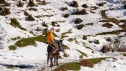 'Bez Kosova bi umrli': Albansko selo Borje zavisi od pomoći sa druge strane granice