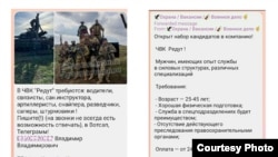 Скриншот из Телеграма.