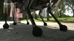 Кучиња-роботи за помош на луѓе со оштетен вид