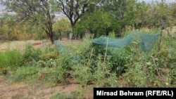 Bašta Medine Gosto, predsjednice Udruženja žena Vrba iz Mostara.