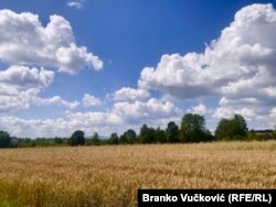 Neophodno je preduzimanje hitnih preventivnih mera koje bi odmah mogle da se sprovedu, smatraju stručnjaci.