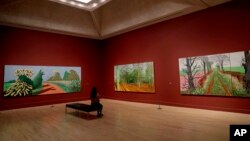 Серията картини на Дейвид Хокни "Йоркшайър Улдс" по време на фотосесия за популяризиране на най-голямата ретроспектива на творчеството му в галерия Тейт Британия в Лондон, 6 февруари 2017 г.