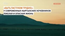 «Быть пастухом трудно»: тяжёлые будни современных кыргызских чабанов