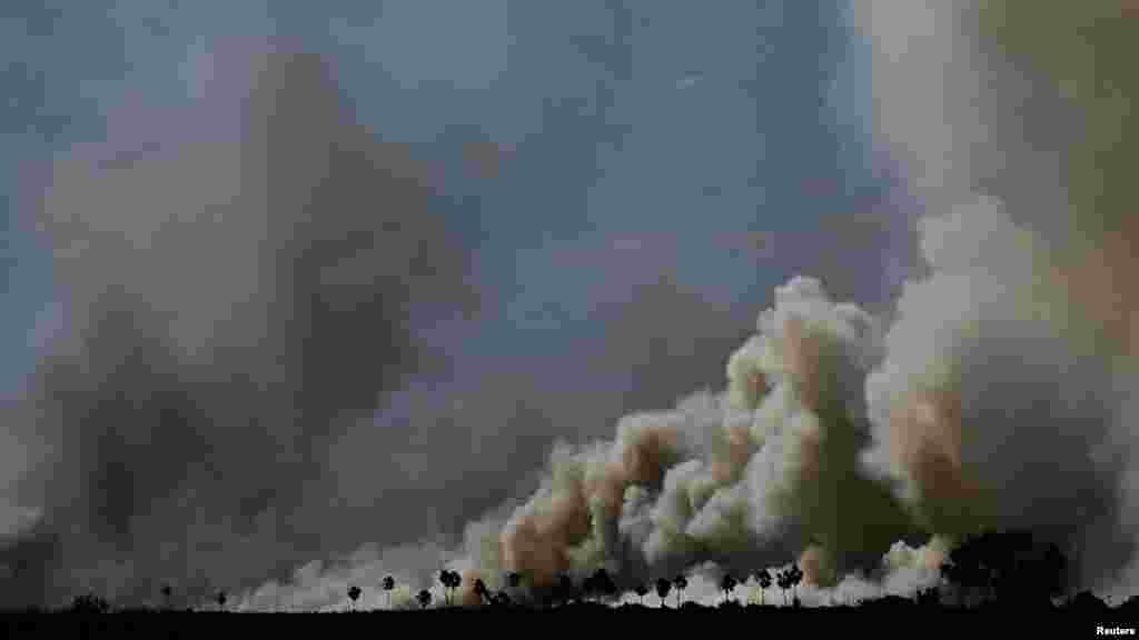 A brazil Nemzeti Meteorológiai Intézet (INMET) adatai szerint a mangrovemocsárral borított Pantanal valószínűleg újabb erős szárazsággal néz szembe idén, miután a csapadékos évszak hatvan százalékkal az átlag alatt volt