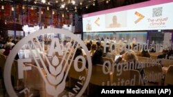 Организацијата за храна и земјоделство на Обединетите нации (ФАО)