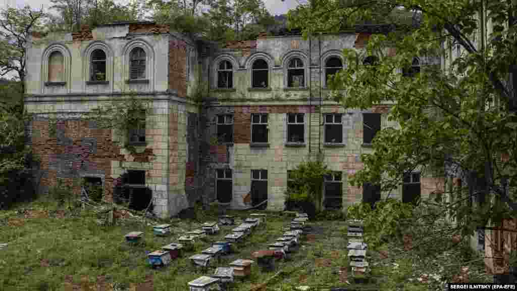 ფუტკრის სკები ყოფილი სკოლის ეზოში დგას, სადაც ოდესღაც მოსწავლეები თამაშობდნენ.