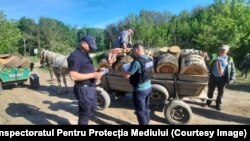 Inspectori de mediu din Ungheni, în timpul desfășurării unei acțiuni de combatere a braconajului piscicol pe râul Prut și a tăierilor ilegale de arbori