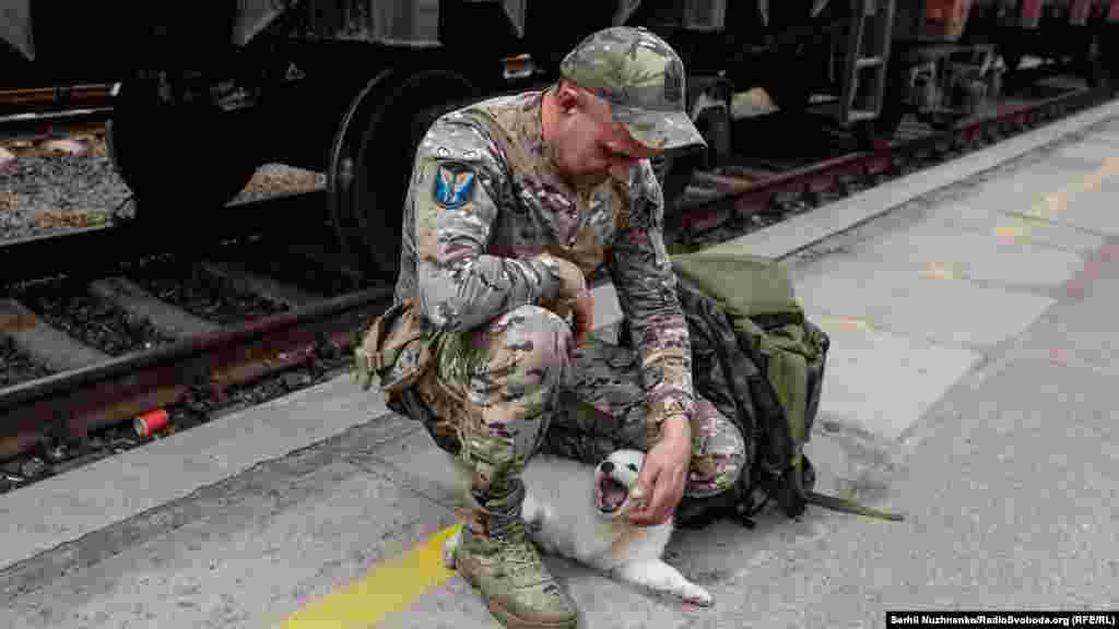 Evhen, care pleacă în concediu, nu este singur: i-a găsit un prieten fiicei lui, pe cățelul Boyard.