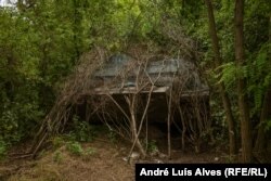 Transportoare militare ucrainene ascunse într-o pădure din regiunea Zaporojie