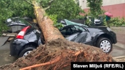 Posledice nevremena u Beogradu, 2. jul 2024. Snažan vetar je u širom zemlja Zapadnog Balkana čupao drveće.