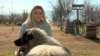 Marija Ristova, dog breeder from Radovis, North Macedonia