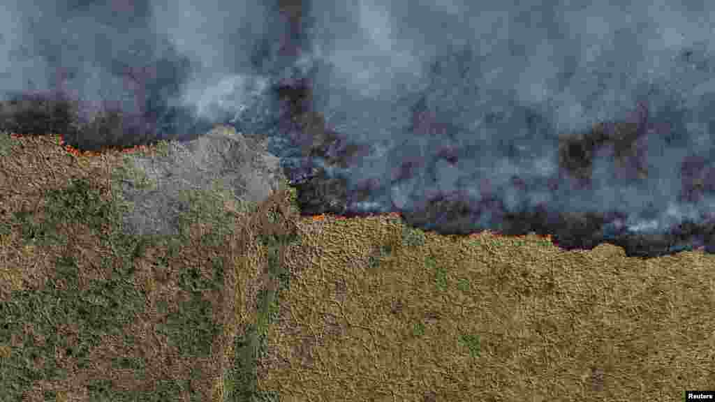 A brazil kormány szerdán megállapodást írt alá a Pantanal és az Amazonas régió állami kormányzóival az erdőtüzek elleni küzdelemről. Mato Grosso do Sul államban, ahol az ország Pantanaljának nagy része található, már környezetvédelmi vészhelyzetet hirdettek