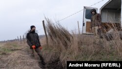 În ajun de plantare, Petru Vinari (stânga) a adus puieții în câmp.