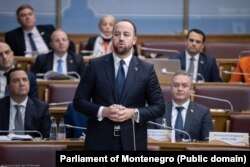 Poslanik Andrija Nikolic 