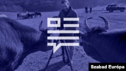 Sztoriban - Lómenhely